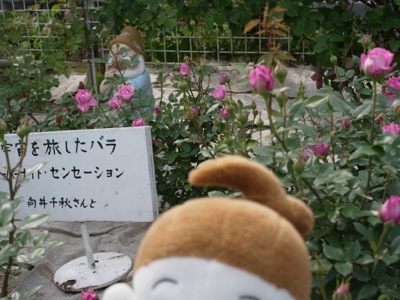 f0050651_22232239.jpg