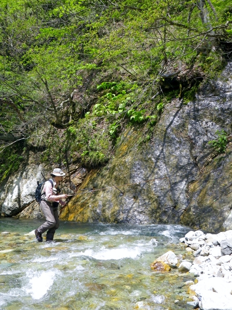 b0177355_2216487.jpg