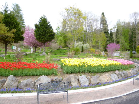 f0205358_21374845.jpg