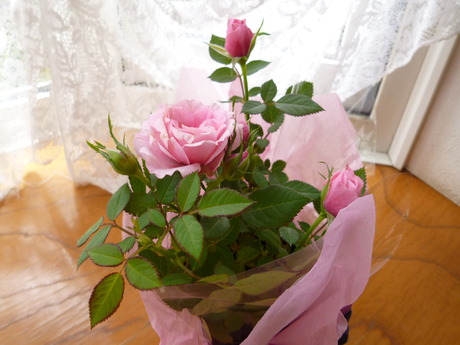 f0205358_2146277.jpg