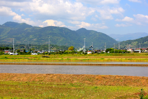 a0248459_593971.jpg