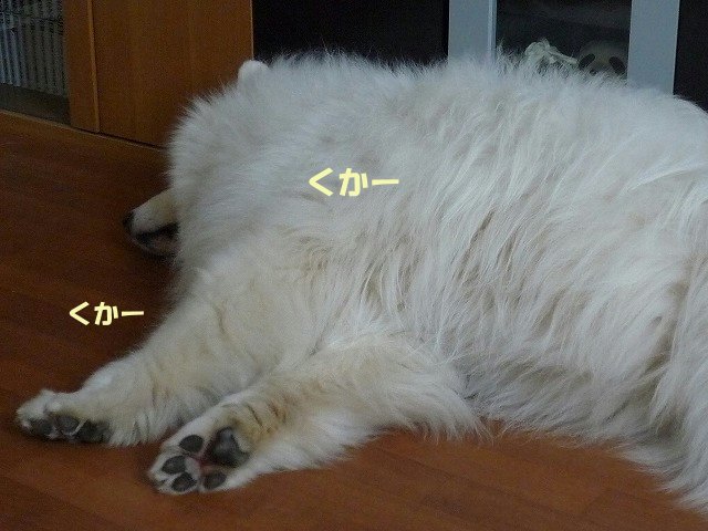 e0176159_11375016.jpg