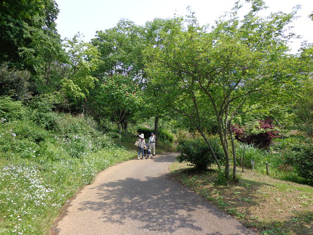 b0061261_21373157.jpg