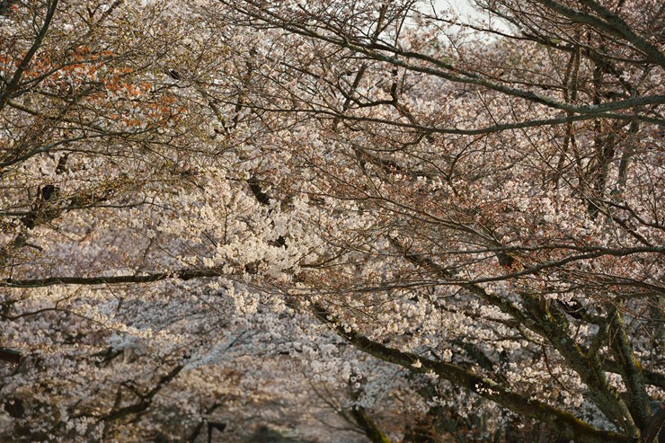 f0222161_21311513.jpg