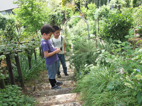 c0059063_432845.jpg