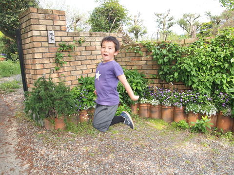 c0059063_471482.jpg