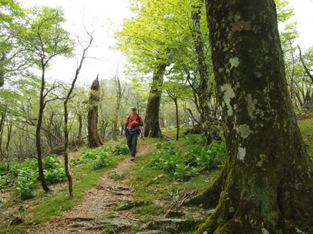 d0105063_106124.jpg