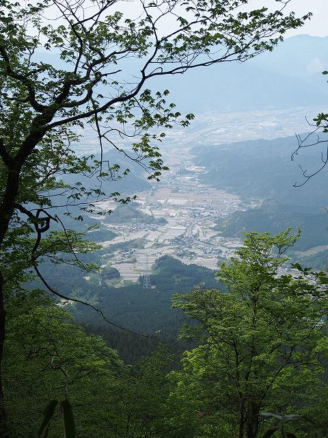 d0128465_17375436.jpg