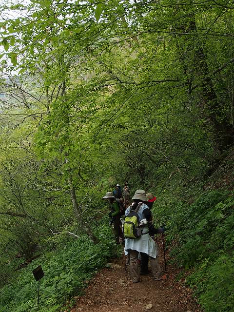 d0128465_17382111.jpg