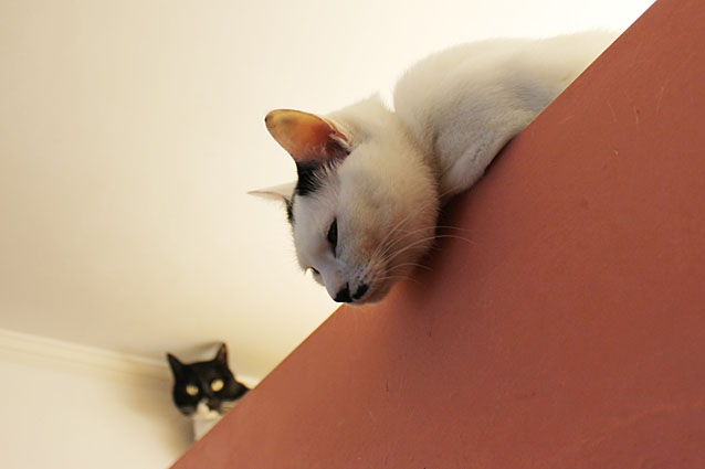 c0226874_1533130.jpg