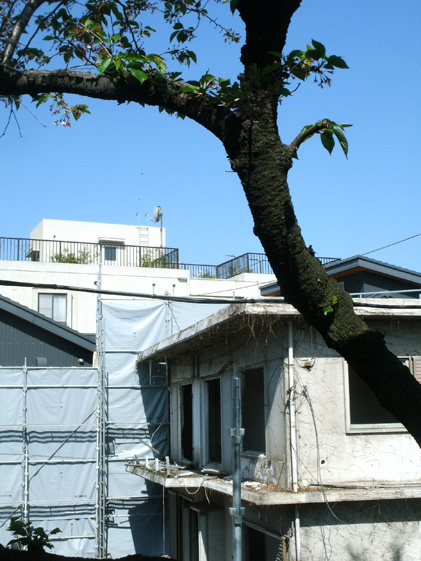 e0112077_8454217.jpg