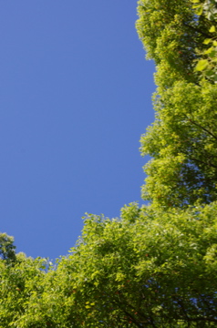 f0054677_14553584.jpg