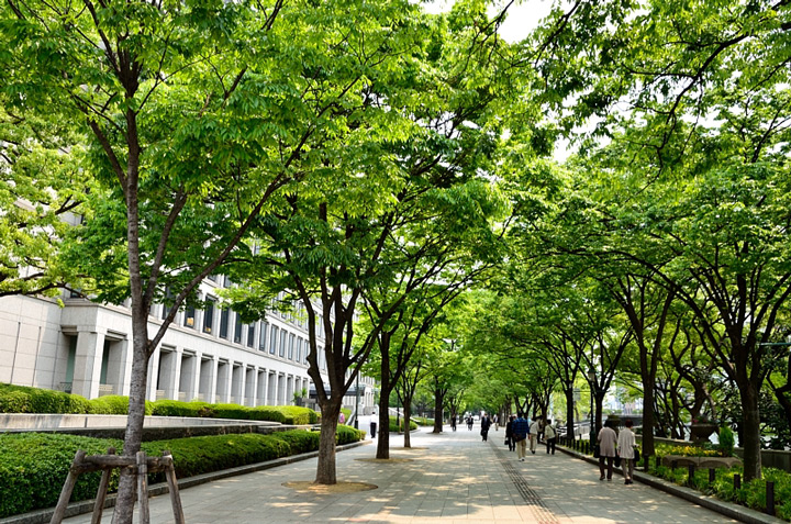 f0108478_22274686.jpg