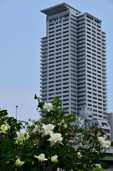 f0108478_2229463.jpg