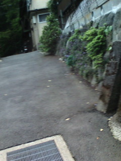c0218879_10113110.jpg