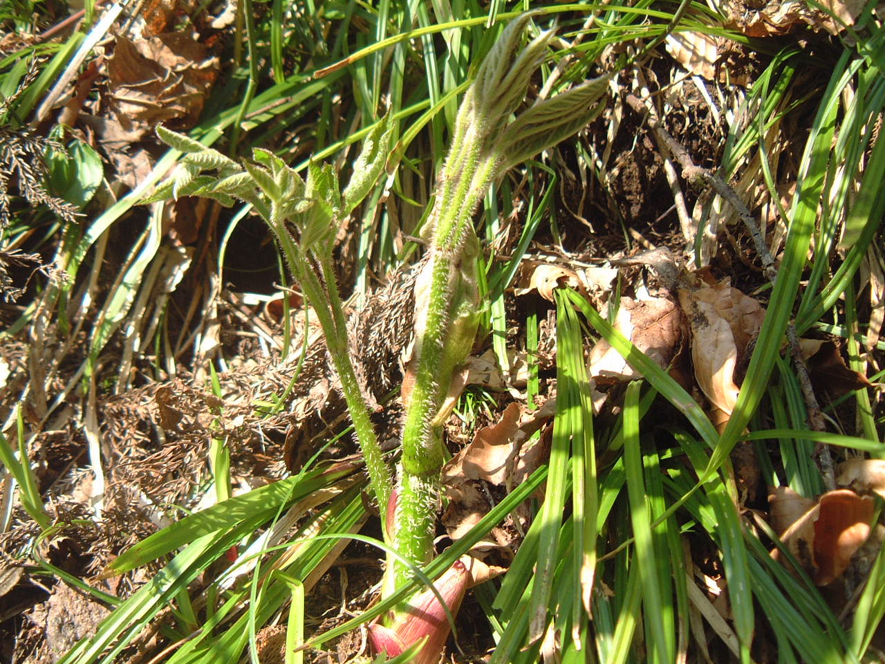 c0237780_17104278.jpg