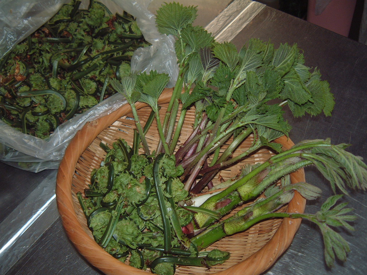 c0237780_17113096.jpg