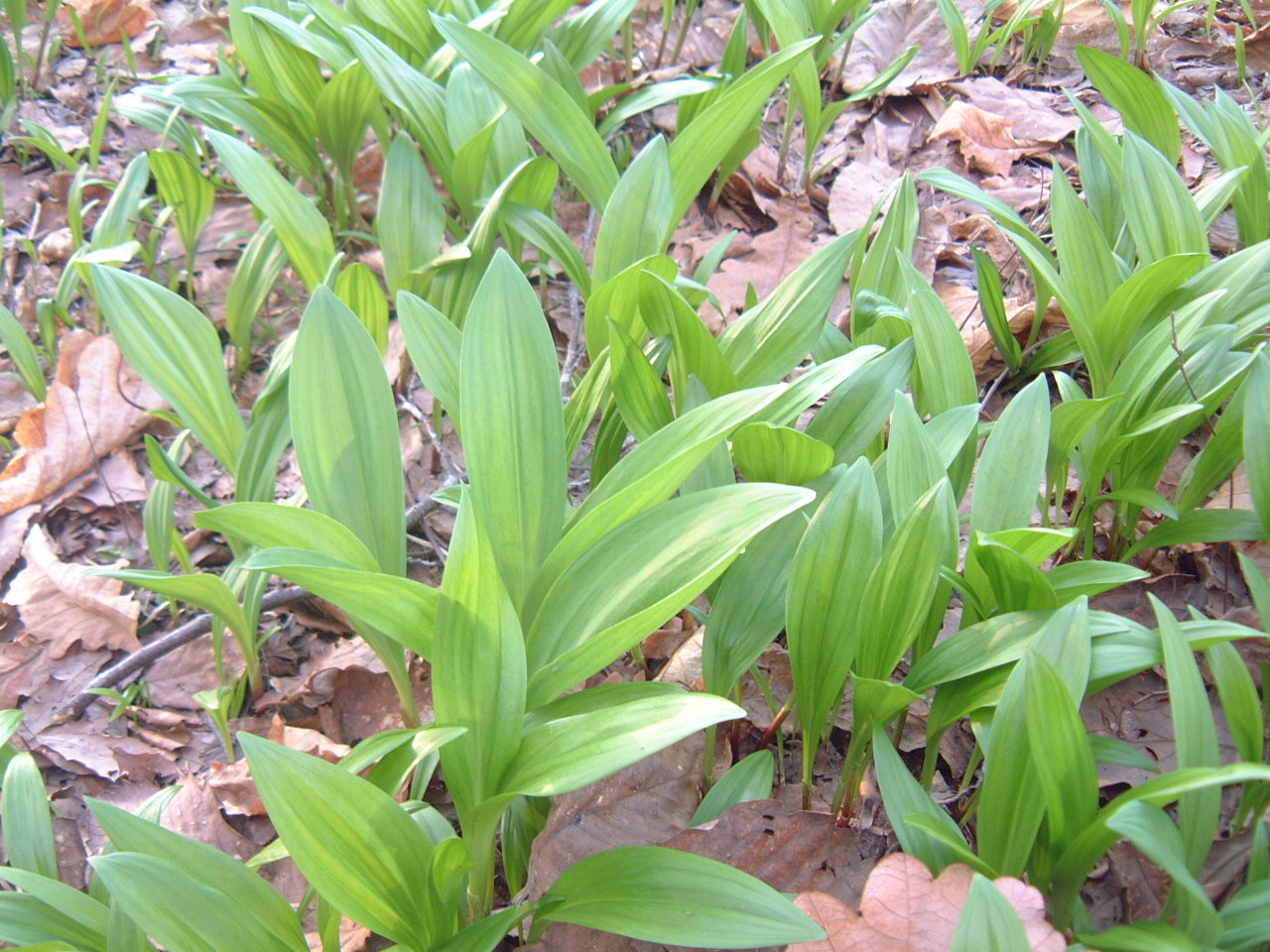 c0237780_17114981.jpg
