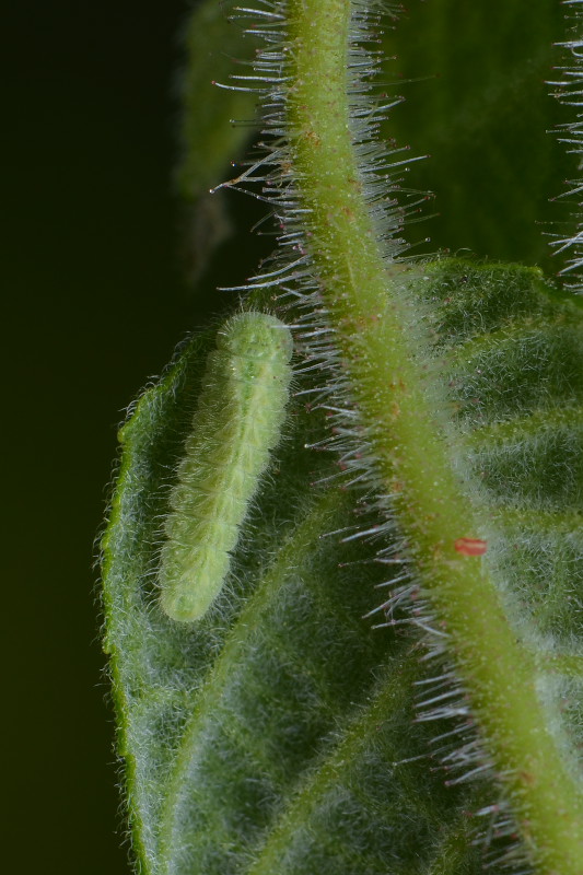 f0090680_23494520.jpg