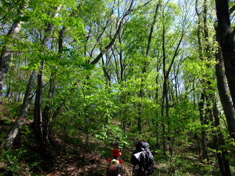 a0043982_16481956.jpg