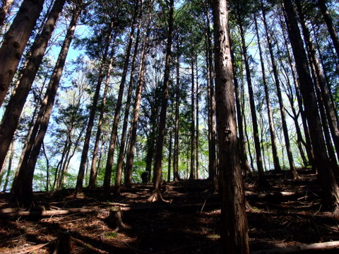a0043982_16491083.jpg