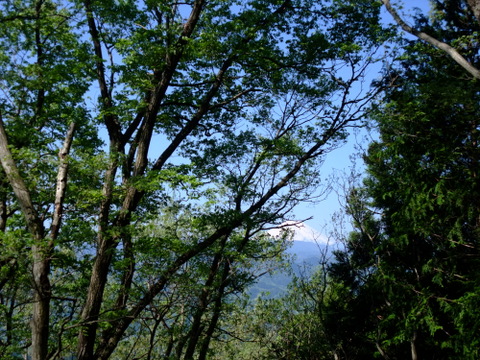 a0043982_16492785.jpg