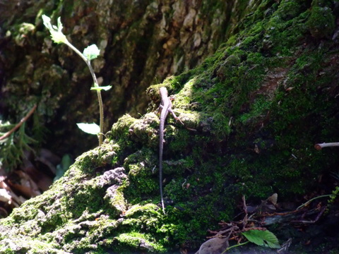 a0043982_16494753.jpg