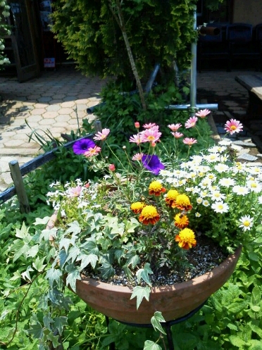 c0214384_64777.jpg