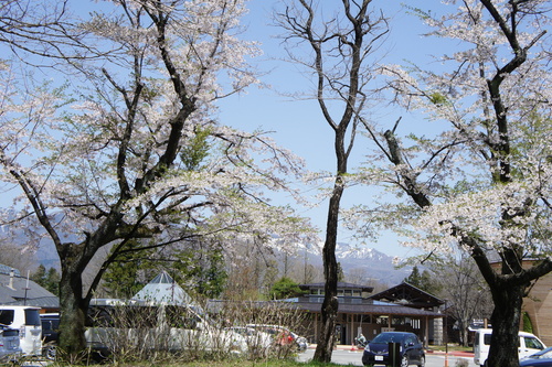 d0065484_2331028.jpg