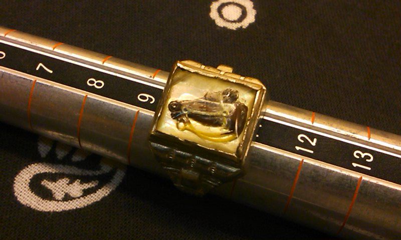 c0078587_13444444.jpg