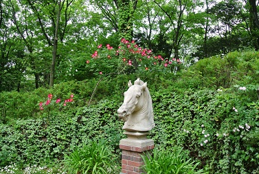 b0128589_16262062.jpg