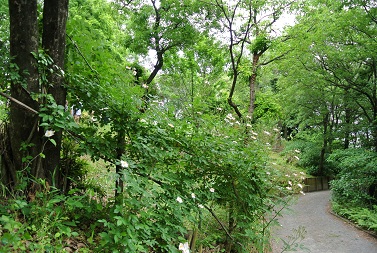 b0128589_16274534.jpg