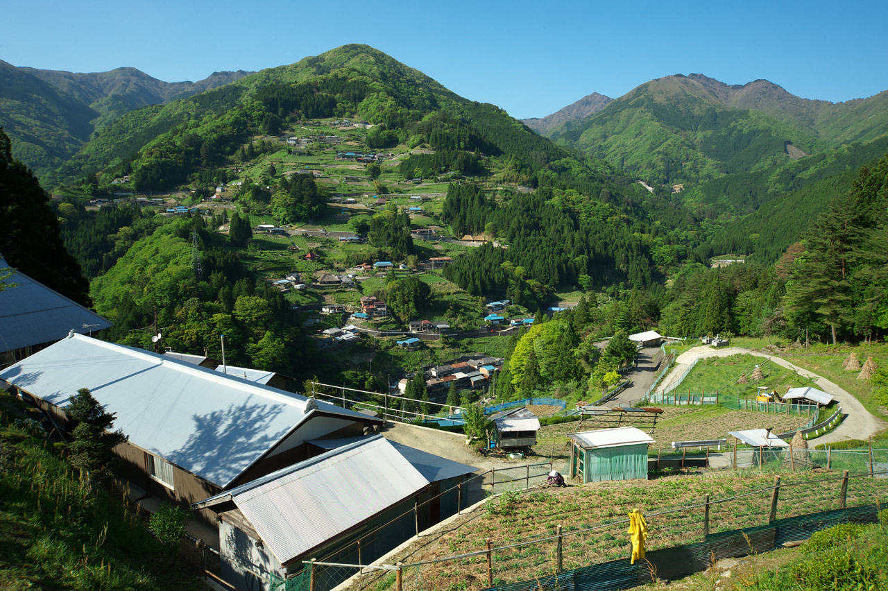 d0146295_2195636.jpg