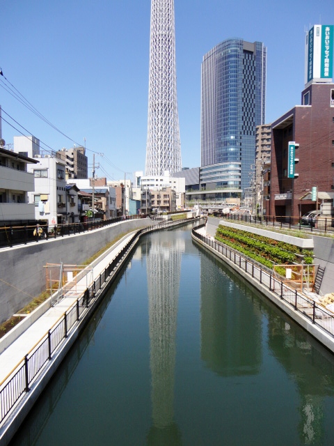 c0137300_11385885.jpg