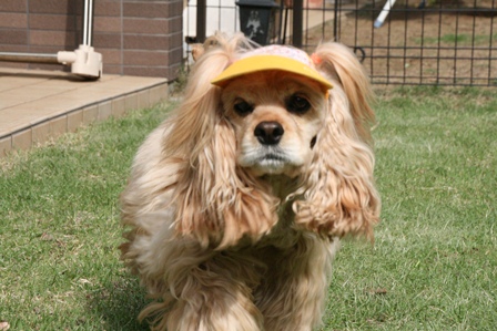 c0128303_2319231.jpg