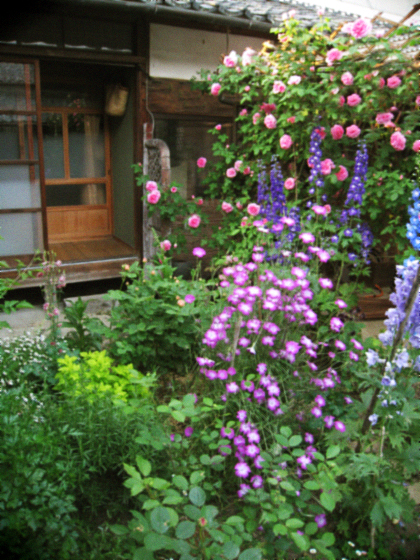 d0077603_10584776.jpg
