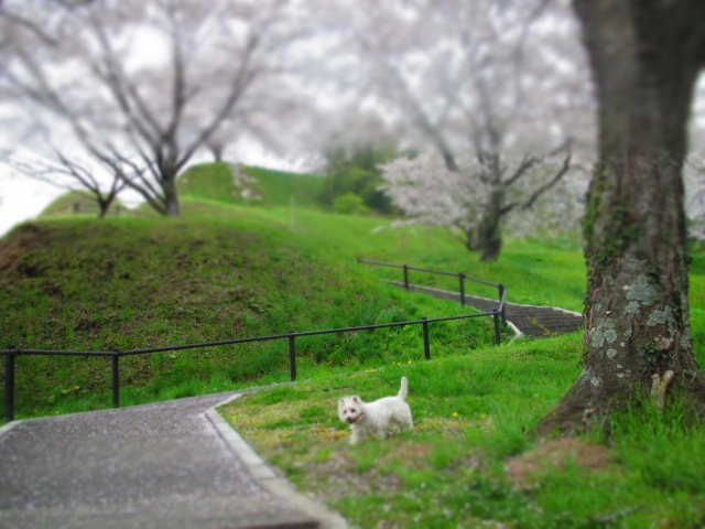 f0039907_1011227.jpg