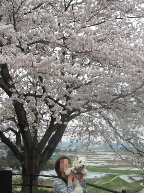 f0039907_10124124.jpg