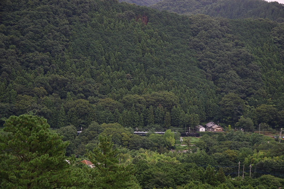 b0190710_0322047.jpg
