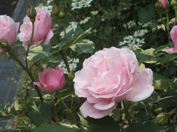 b0208811_2247125.jpg