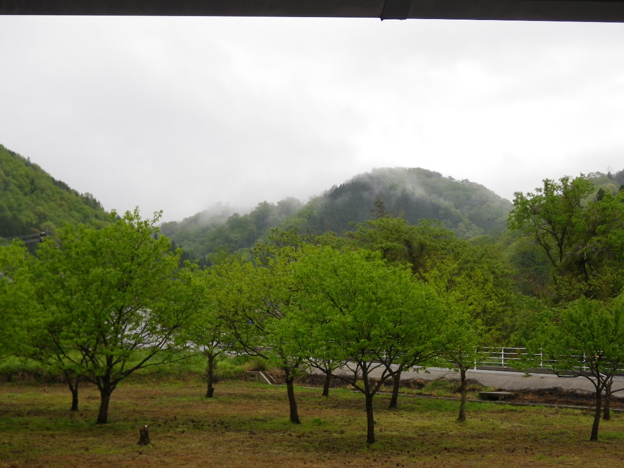 a0218118_11363256.jpg