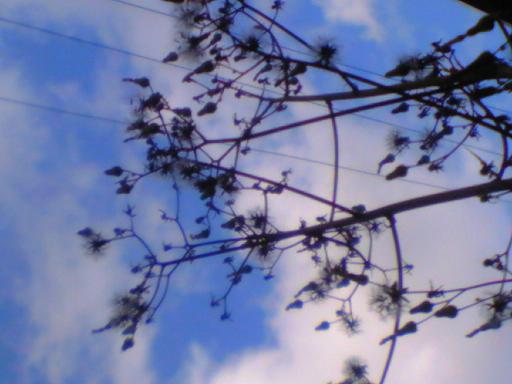 c0097620_1910962.jpg
