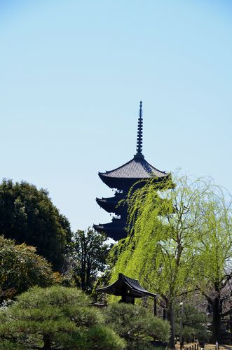 f0140720_23103628.jpg