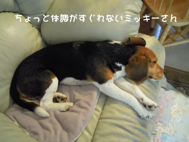 c0166622_10301819.jpg