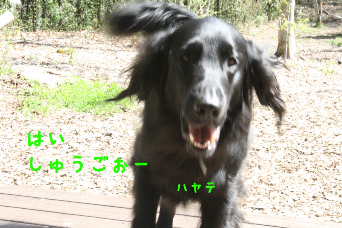 c0237824_23254762.jpg