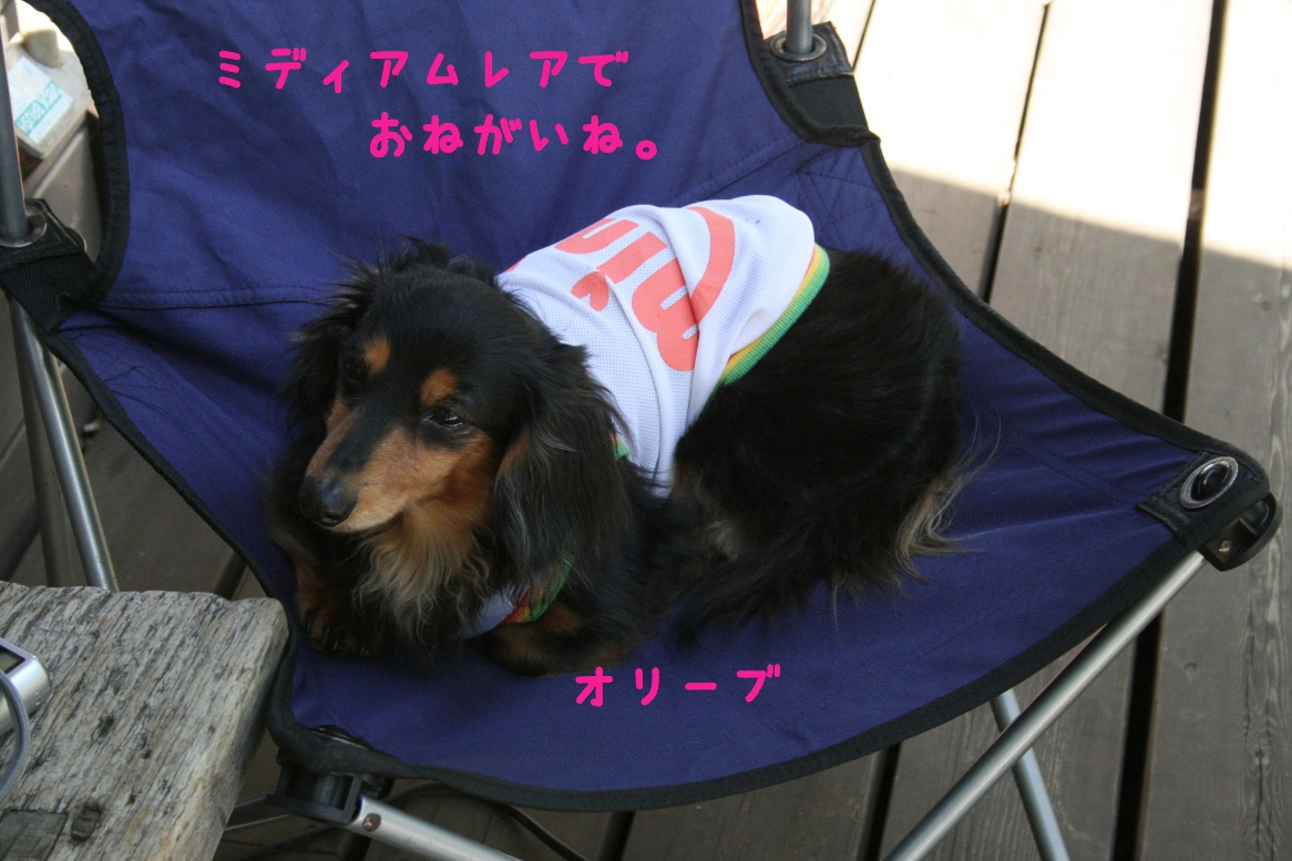 c0237824_2328265.jpg