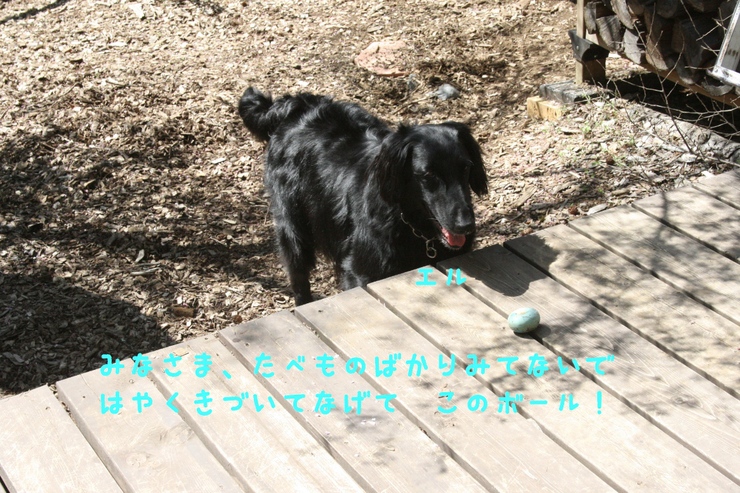 c0237824_23324219.jpg