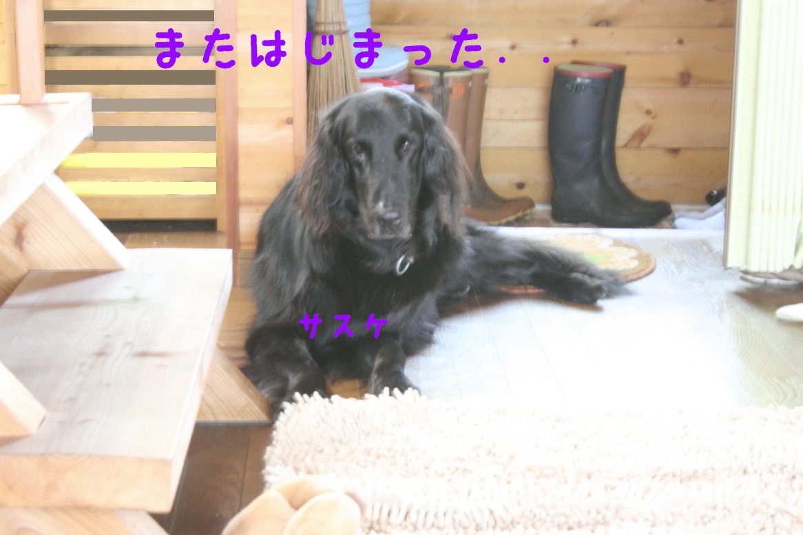 c0237824_2355686.jpg