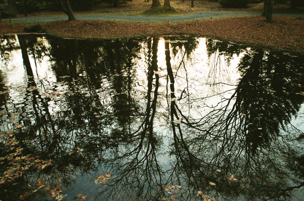 f0182924_10434718.jpg