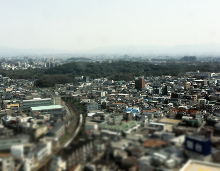 e0112226_1331751.jpg